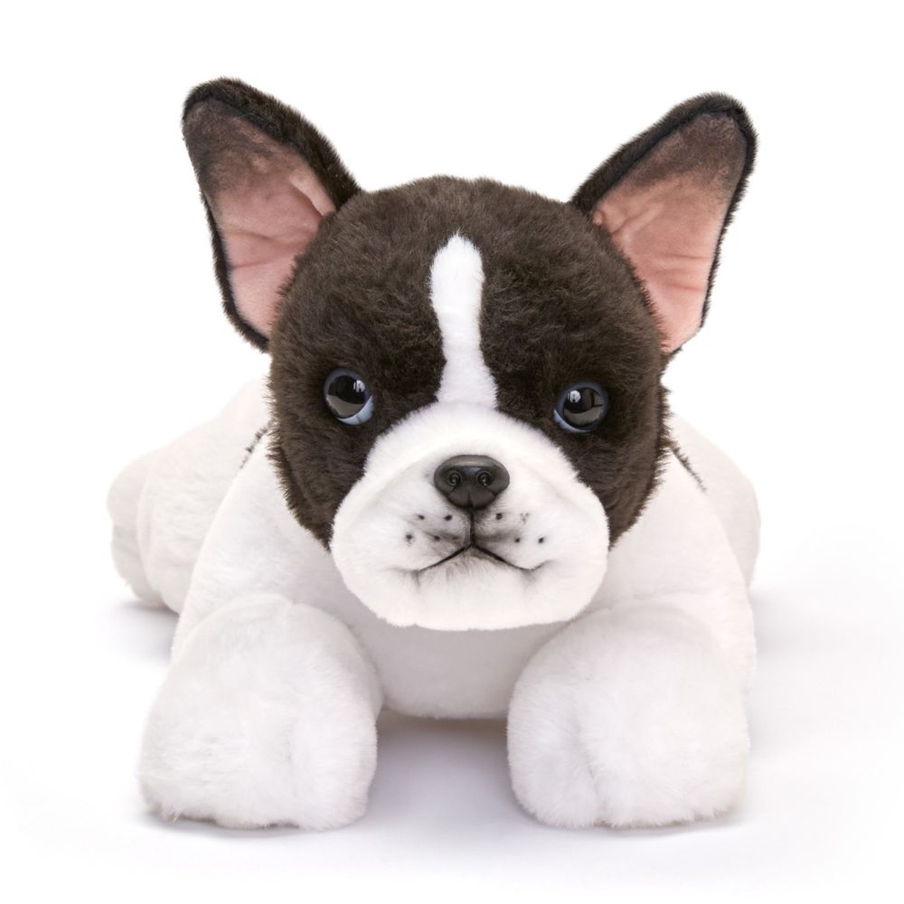 22" Adopt-A-Pets Frenchton Plush - Image 3