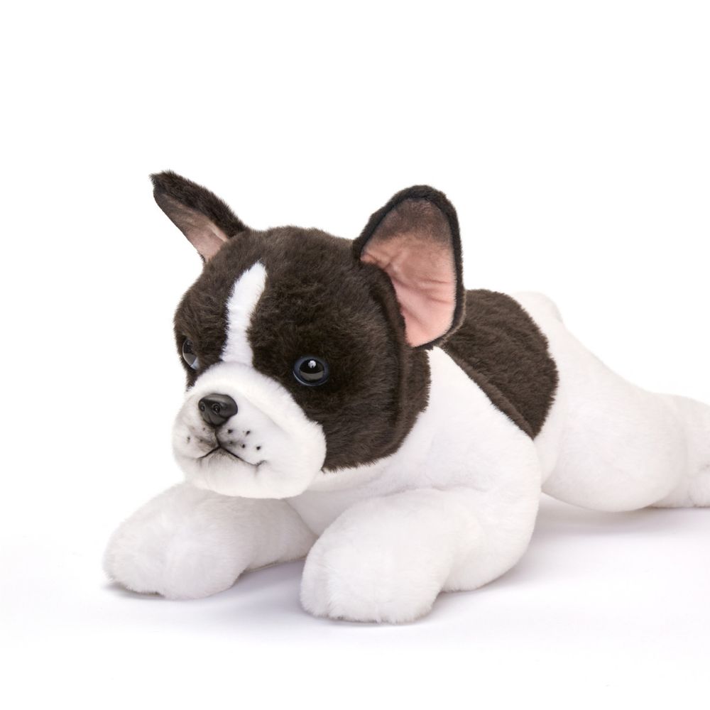 22" Adopt-A-Pets Frenchton Plush - Image 4