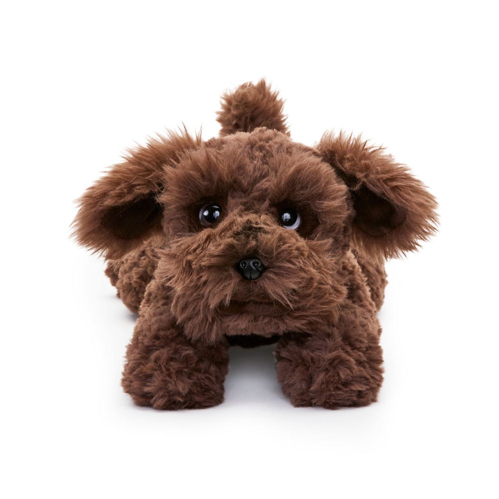 22" Adopt-A-Pets Plush Schnoodle - Image 3