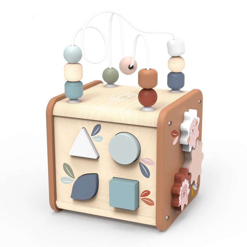 5-in-1 Activity Cube