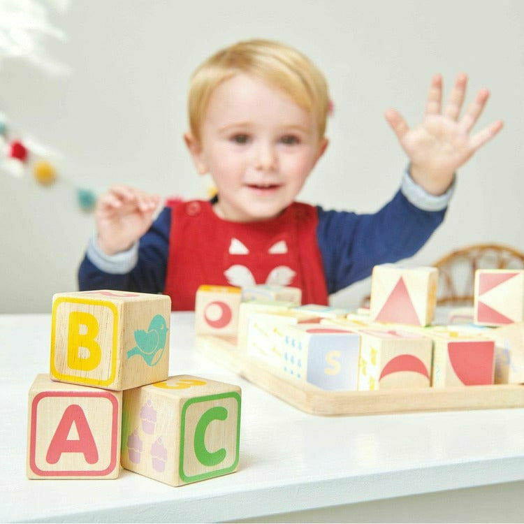 Alternative view of ABC Wooden Blocks