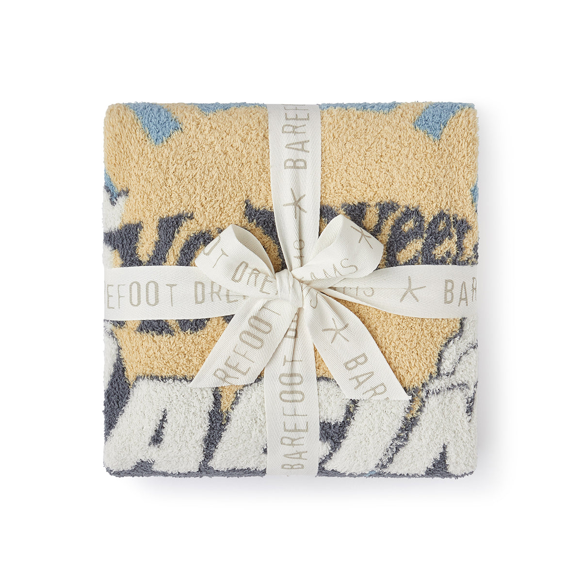 CozyChic Hot Wheels Stroller Blanket - Image 4