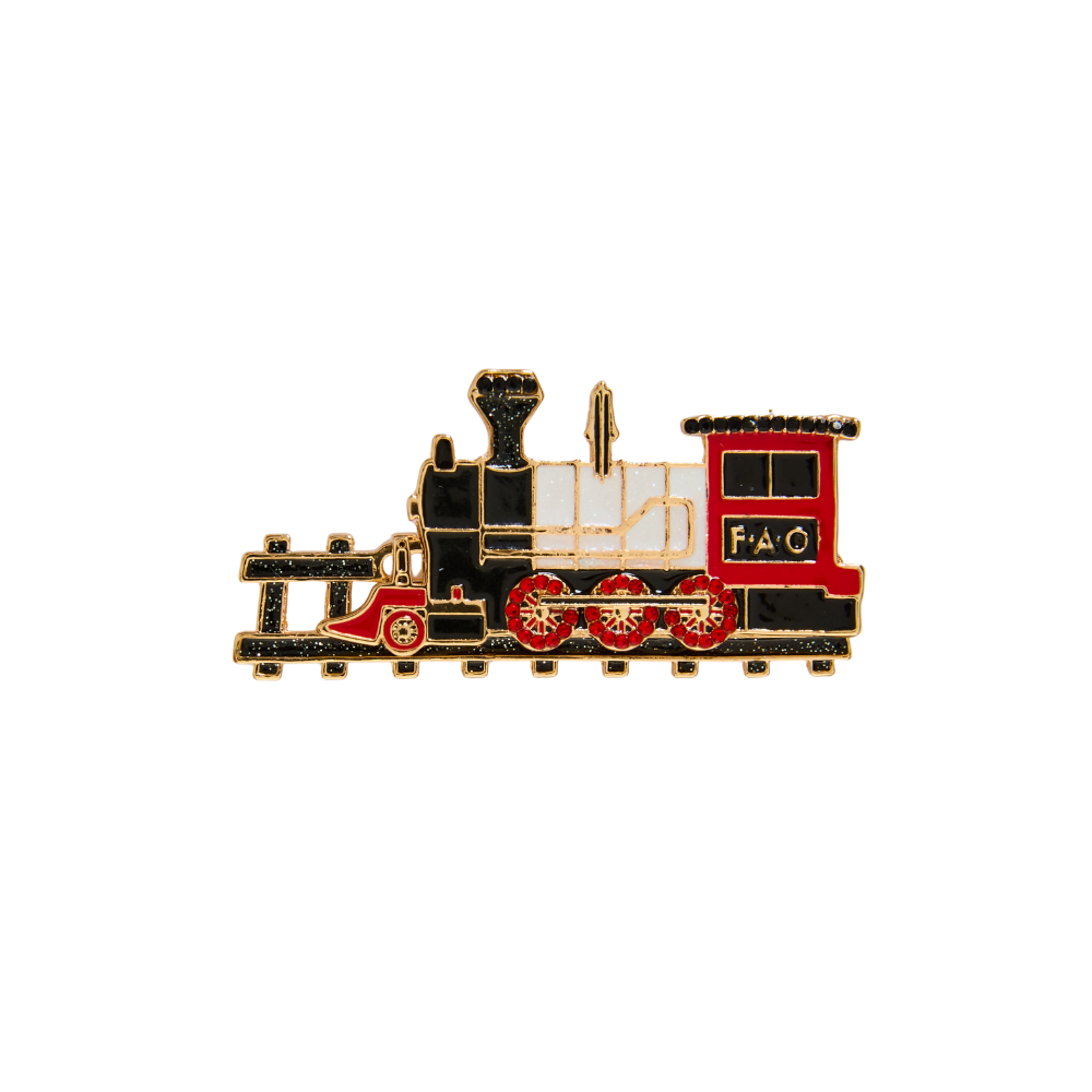 FAO Train Pin