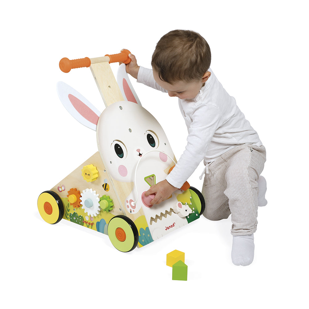 Farm Multi-Activity Baby Walker - Image 2