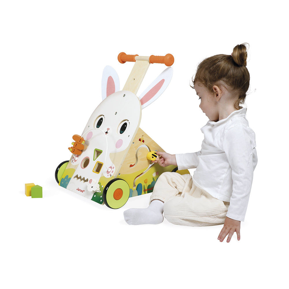 Farm Multi-Activity Baby Walker - Image 4