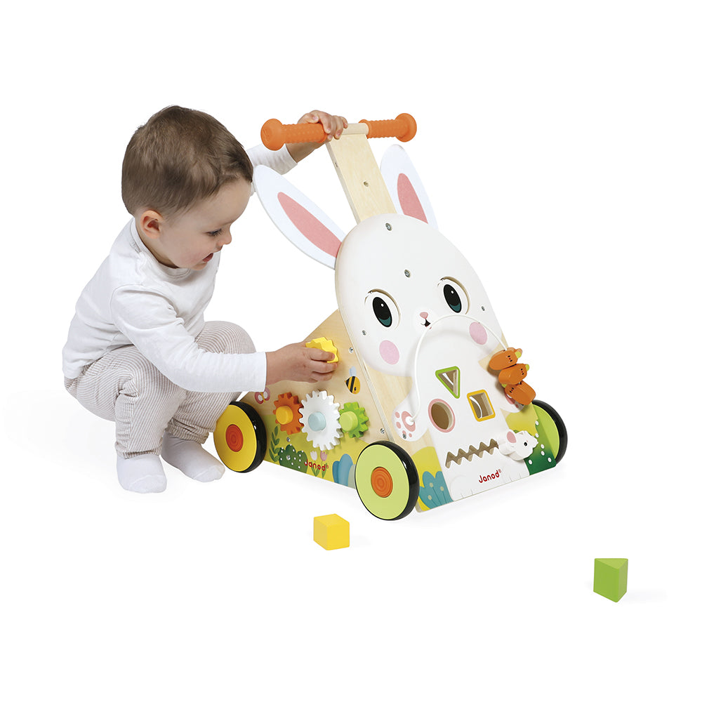Farm Multi-Activity Baby Walker - Image 5