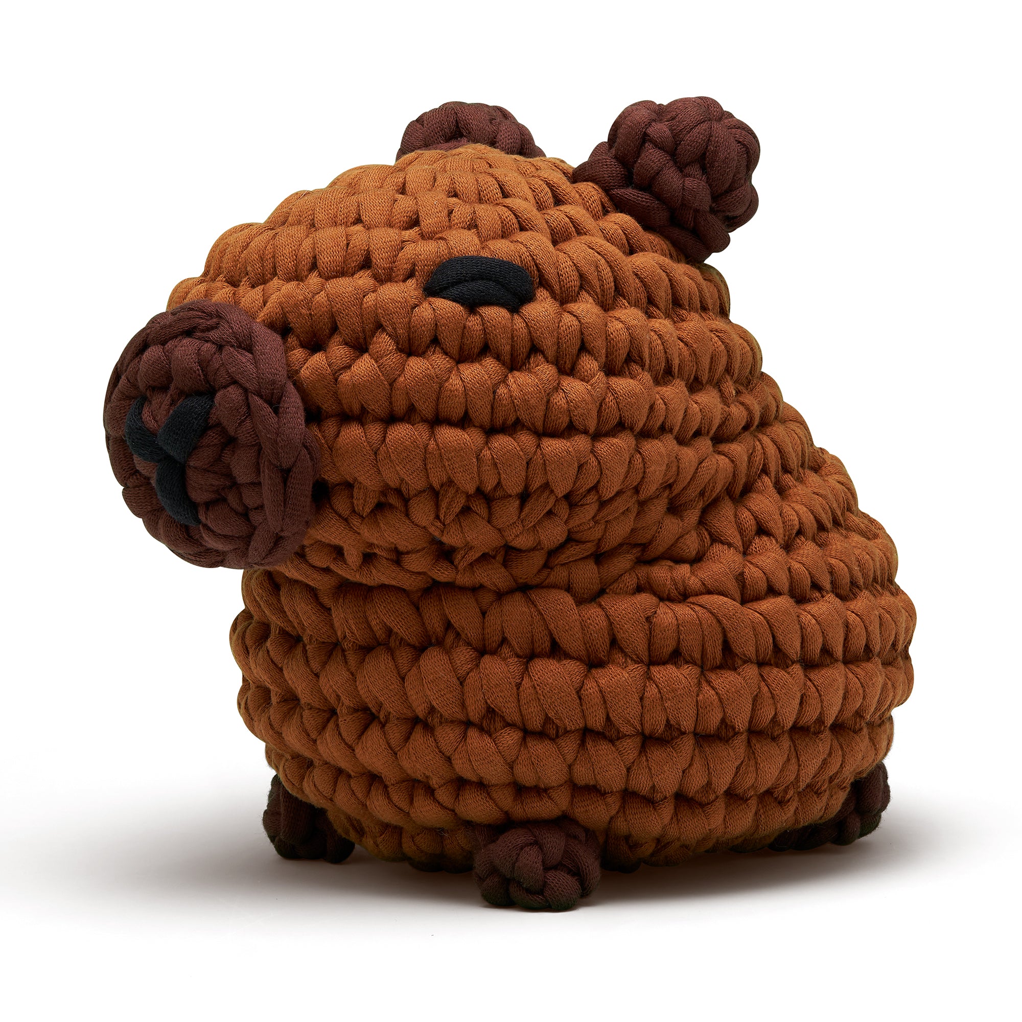 Alternative view of Hugh the Capybara Learn to Crochet Kit