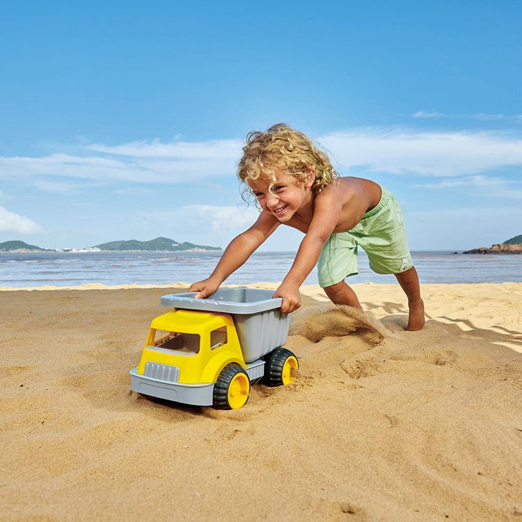 Alternative view of Load & Tote Dump Truck