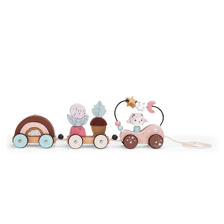 Pull Along Activity Train - "After The Rain" Collection