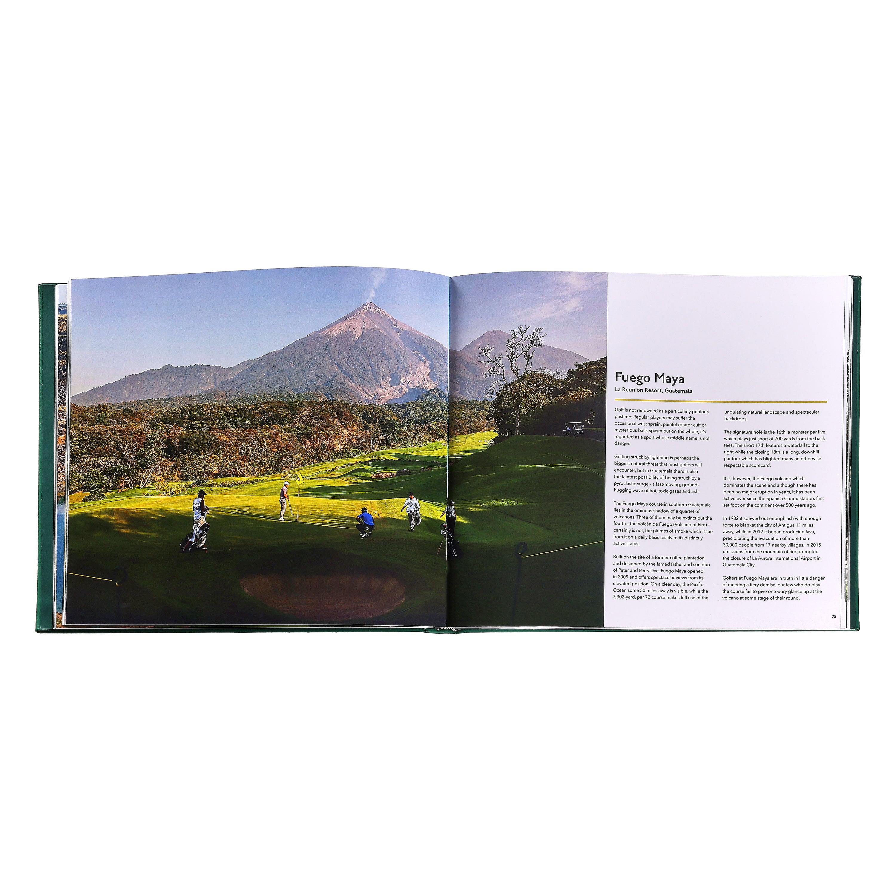 Remarkable Golf Courses Book Leather Edition - Image 3