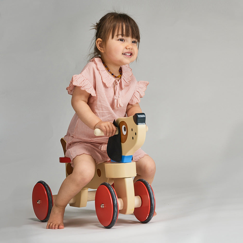 Alternative view of Ride On Puppy