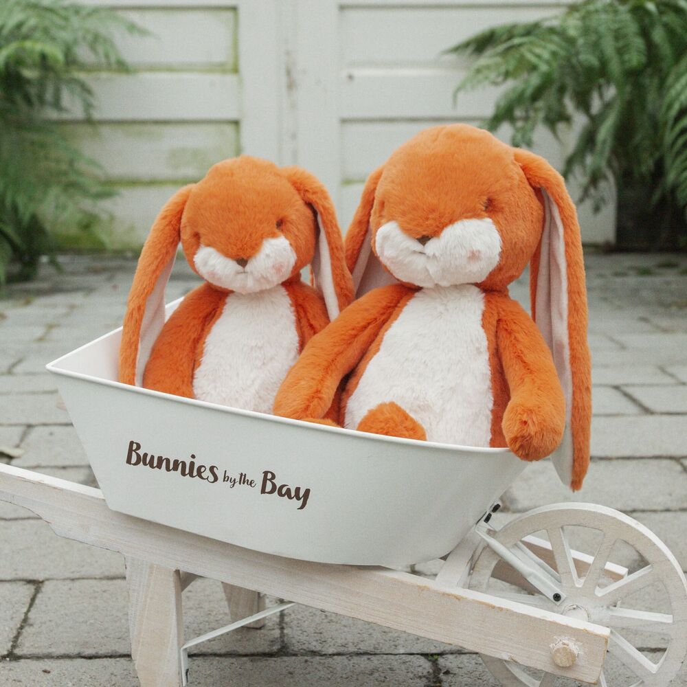 Alternative view of Sweet 16" Floppy Nibble Bunny – Carrot