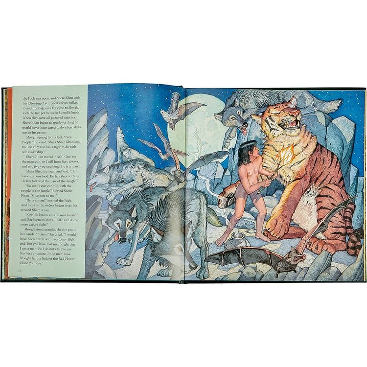 "The Jungle Book" in Green Bonded Leather - Image 4