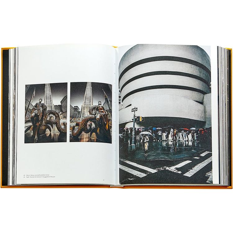 Alternative view of Trope New York Book Leather Edition