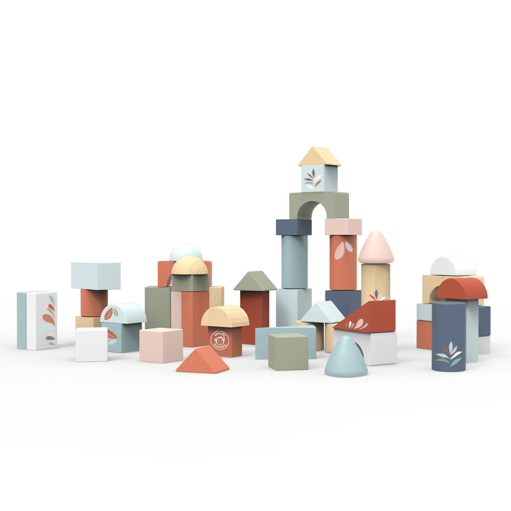 Wood Building Blocks Set of 50