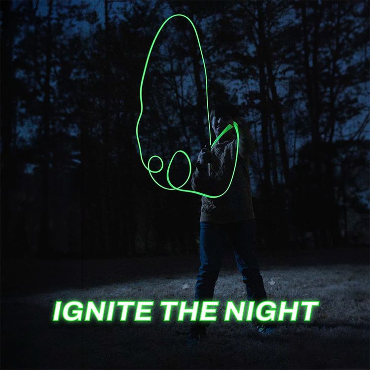 ZipString Luma - Image 4